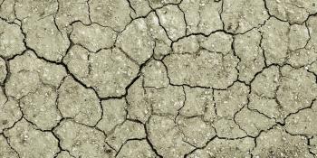 Cracked dry ground