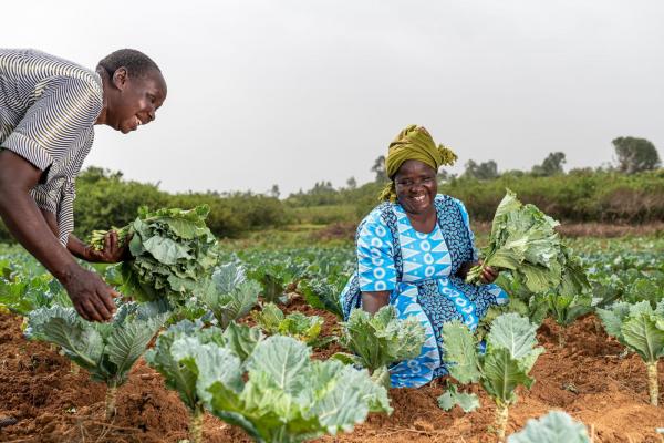 Woman in field